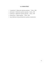 Buhalterinės apskaitos įstatymai 12 puslapis