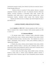 Buhalterinės apskaitos įstatymai 7 puslapis