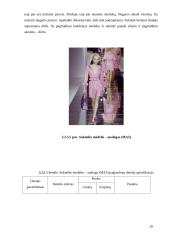 Moteriškų suknelių kolekcija: "Žirginys" 20 puslapis