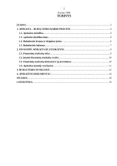 Buhalterio vaidmuo įmonės darbo procese