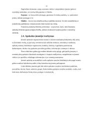 Buhalterio vaidmuo įmonės darbo procese 10 puslapis