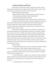 Buhalterio vaidmuo įmonės darbo procese 11 puslapis