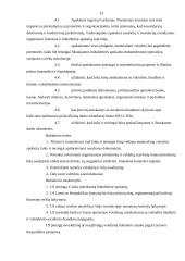 Buhalterio vaidmuo įmonės darbo procese 12 puslapis