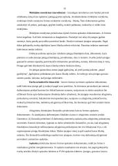 Buhalterio vaidmuo įmonės darbo procese 14 puslapis