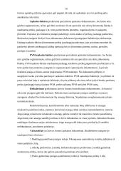 Buhalterio vaidmuo įmonės darbo procese 15 puslapis