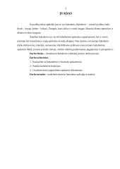 Buhalterio vaidmuo įmonės darbo procese 2 puslapis