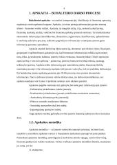 Buhalterio vaidmuo įmonės darbo procese 3 puslapis