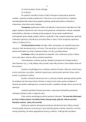 Buhalterio vaidmuo įmonės darbo procese 4 puslapis