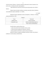 Buhalterio vaidmuo įmonės darbo procese 7 puslapis