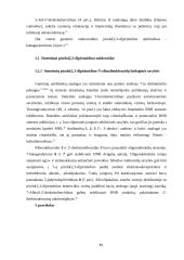 Priešgripinių vaistų sintezė 11 puslapis