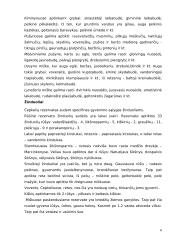 Čepkelių rezervatas 6 puslapis