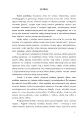 Viešojo ir privataus sektorių partnerystės samprata 2 puslapis