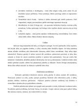 Dalykinio bendravimo su Italijos partneriais ypatumai 14 puslapis