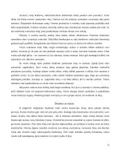 Dalykinio bendravimo su Italijos partneriais ypatumai 15 puslapis