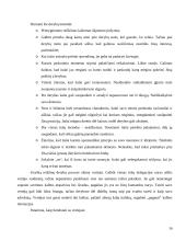 Dalykinio bendravimo su Italijos partneriais ypatumai 16 puslapis