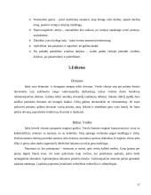 Dalykinio bendravimo su Italijos partneriais ypatumai 17 puslapis