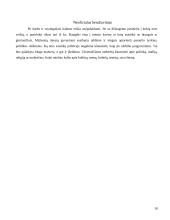 Dalykinio bendravimo su Italijos partneriais ypatumai 18 puslapis