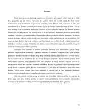 Dalykinio bendravimo su Italijos partneriais ypatumai 19 puslapis