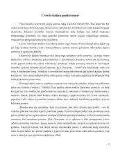 Dalykinio bendravimo su Italijos partneriais ypatumai 4 puslapis