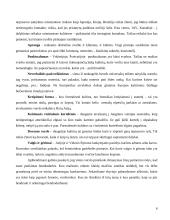 Dalykinio bendravimo su Italijos partneriais ypatumai 6 puslapis