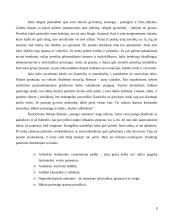 Dalykinio bendravimo su Italijos partneriais ypatumai 9 puslapis