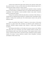 Darbo ginčų rūšys 12 puslapis