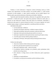 Darbo ginčų rūšys 13 puslapis