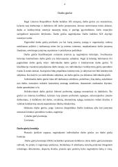 Darbo ginčų rūšys 4 puslapis