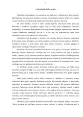 Darbo ginčų rūšys 7 puslapis