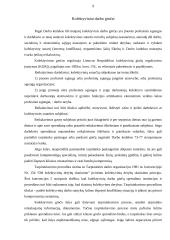 Darbo ginčų rūšys 9 puslapis