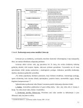 Motyvavimo priemonės ir motyvavimo sistemos formavimasis 11 puslapis