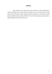 Darbo sutartys, jų rūšys 3 puslapis