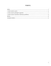 Darbo sutarties nutraukimas organizacijose 2 puslapis