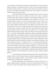 Darbo sutarties pasibaigimas ir nutraukimas 12 puslapis