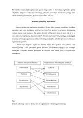 Karjeros efektyvumas ir sėkmingumas 3 puslapis