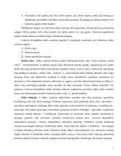 Darbo sutarties turinys 3 puslapis