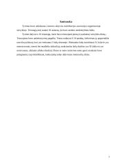 Aktyvios reabilitacijos įtaka žmonėms po nugaros smegenų kaklinės dalies pažeidimų 2 puslapis