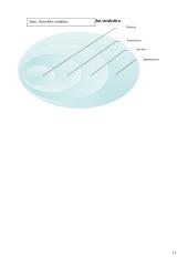 Aktyvios reabilitacijos įtaka žmonėms po nugaros smegenų kaklinės dalies pažeidimų 11 puslapis