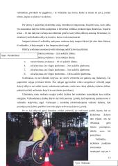 Aktyvios reabilitacijos įtaka žmonėms po nugaros smegenų kaklinės dalies pažeidimų 13 puslapis