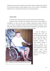Aktyvios reabilitacijos įtaka žmonėms po nugaros smegenų kaklinės dalies pažeidimų 14 puslapis