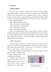 Aktyvios reabilitacijos įtaka žmonėms po nugaros smegenų kaklinės dalies pažeidimų 18 puslapis