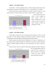 Aktyvios reabilitacijos įtaka žmonėms po nugaros smegenų kaklinės dalies pažeidimų 20 puslapis