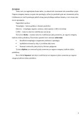 Aktyvios reabilitacijos įtaka žmonėms po nugaros smegenų kaklinės dalies pažeidimų 4 puslapis