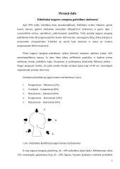 Aktyvios reabilitacijos įtaka žmonėms po nugaros smegenų kaklinės dalies pažeidimų 5 puslapis