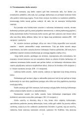 Darbo sutartys ir civilinė sutartis 4 puslapis