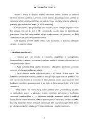 Darbo sutartys ir civilinė sutartis 7 puslapis