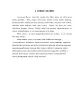 Darbo sutartis ir jos sąlygos 2 puslapis