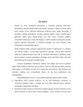 Darbo sutartis ir jos sąlygos 13 puslapis