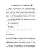 Darbo sutartis ir jos sąlygos 3 puslapis