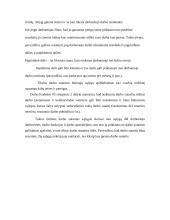 Darbo sutartis ir jos sąlygos 5 puslapis